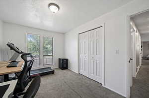 Office space with carpet flooring and a textured ceiling