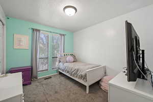 Bedroom with carpet flooring and a textured ceiling