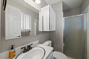 Bathroom with vanity, toilet, and a shower with shower door