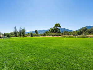 Views of Backyard