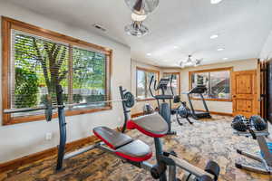 Exercise area featuring plenty of natural light