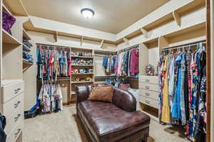 Spacious closet featuring light colored carpet