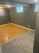 Basement Master Bedroom