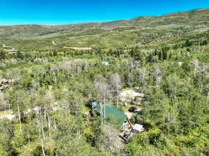 Aerial view with a mountain view