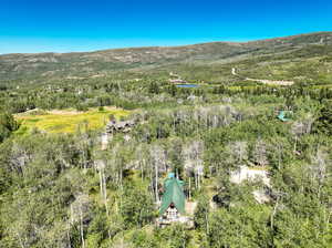 Drone / aerial view featuring a mountain view