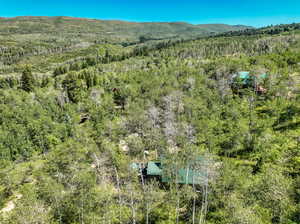 Drone / aerial view with a mountain view