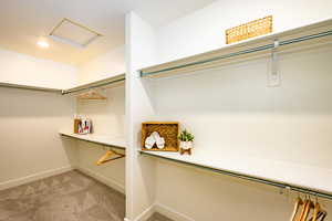 Spacious closet featuring light colored carpet