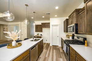 Kitchen featuring hanging light fixtures, light hardwood / wood-style flooring, appliances with stainless steel finishes, sink, and dark brown cabinets