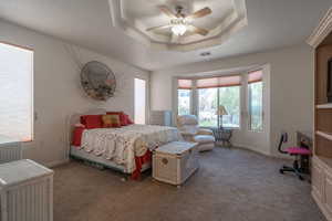 Bedroom featuring ceiling fan, a raised ceiling, and carpet