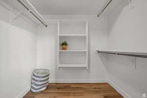 Spacious closet featuring hardwood / wood-style flooring