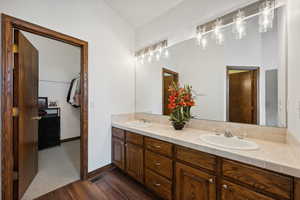 Bathroom featuring vanity and wood-type flooring