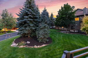 View of yard at dusk