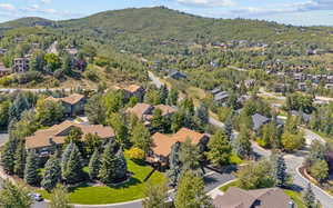 Drone / aerial view featuring a mountain view