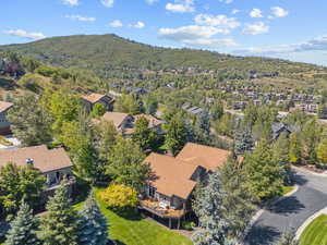 Drone / aerial view with a mountain view