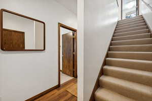 Stairs with hardwood / wood-style flooring