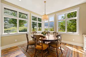 Dining room featuring hardwood / wood-style flooring