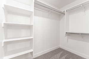 Spacious closet with carpet floors