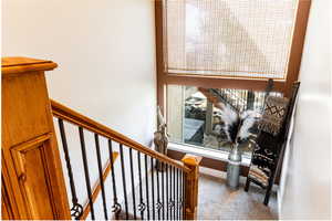 Stairs featuring carpet flooring