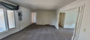 Unfurnished room with crown molding and carpet