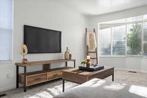 Living room featuring carpet floors