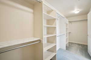 Spacious closet featuring carpet floors