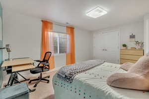 Carpeted bedroom with a closet