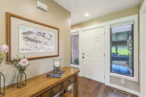 Foyer entrance featuring dark hardwood / wood-style floors