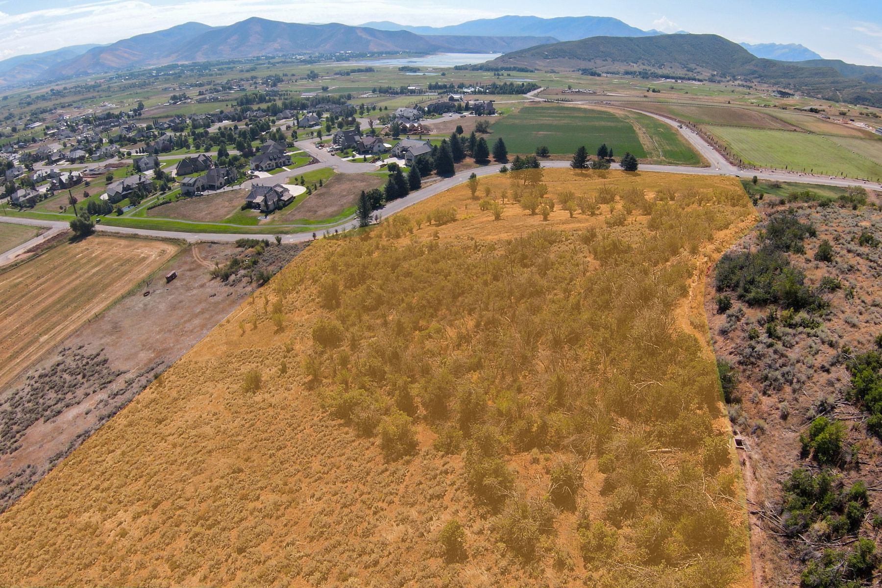 Expansive land parcel featuring natural vegetation and scattered trees