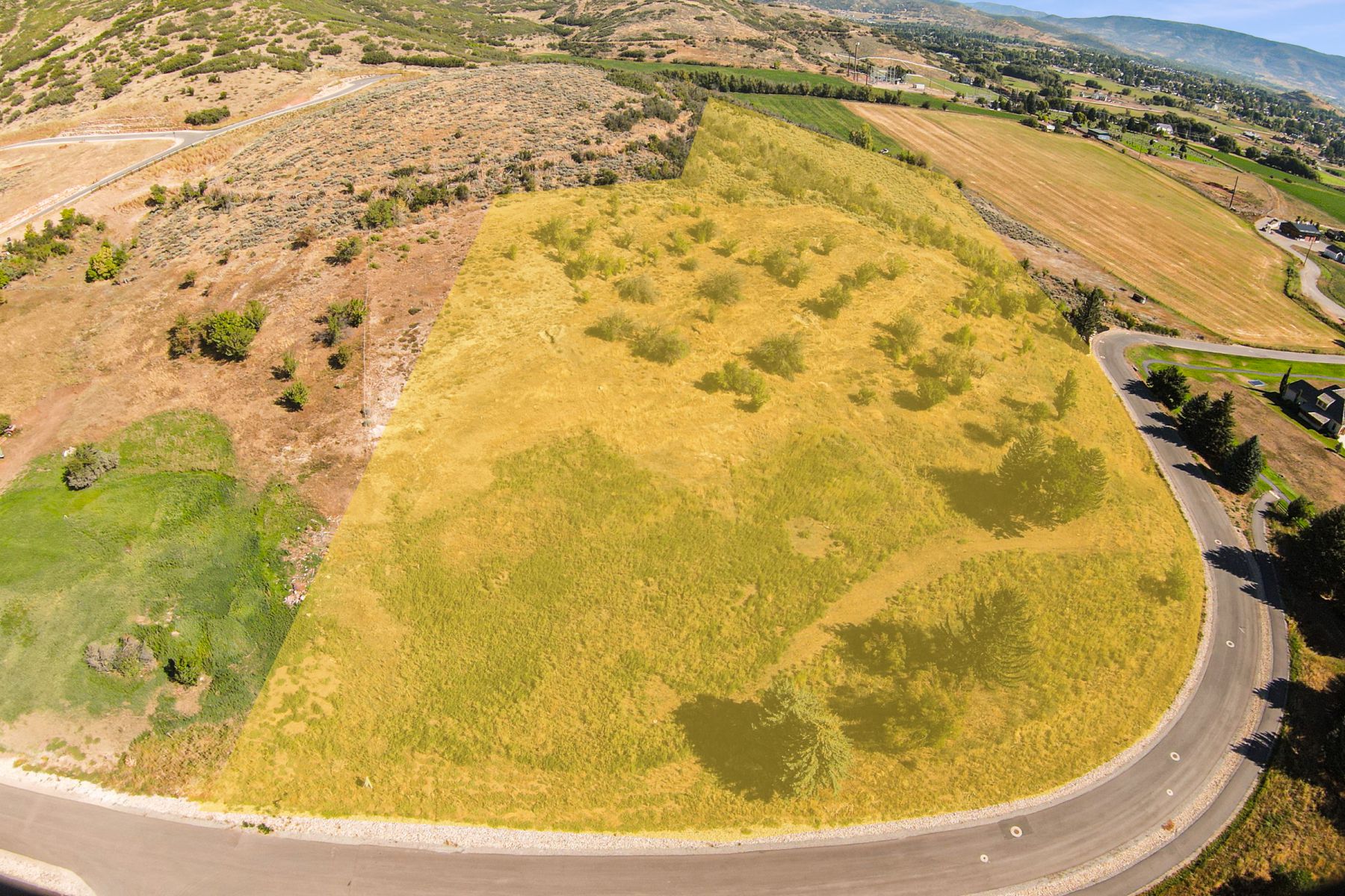 Expansive parcel featuring a paved road frontage, natural landscaping, and established trees