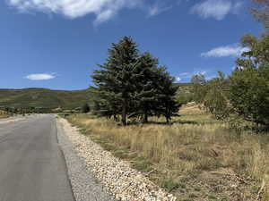 View of street with a mountain view and a rural view