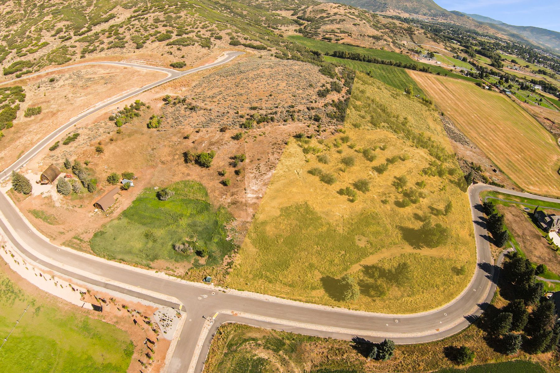 Expansive undeveloped land parcel featuring a gentle slope, mature natural vegetation, and paved road frontage