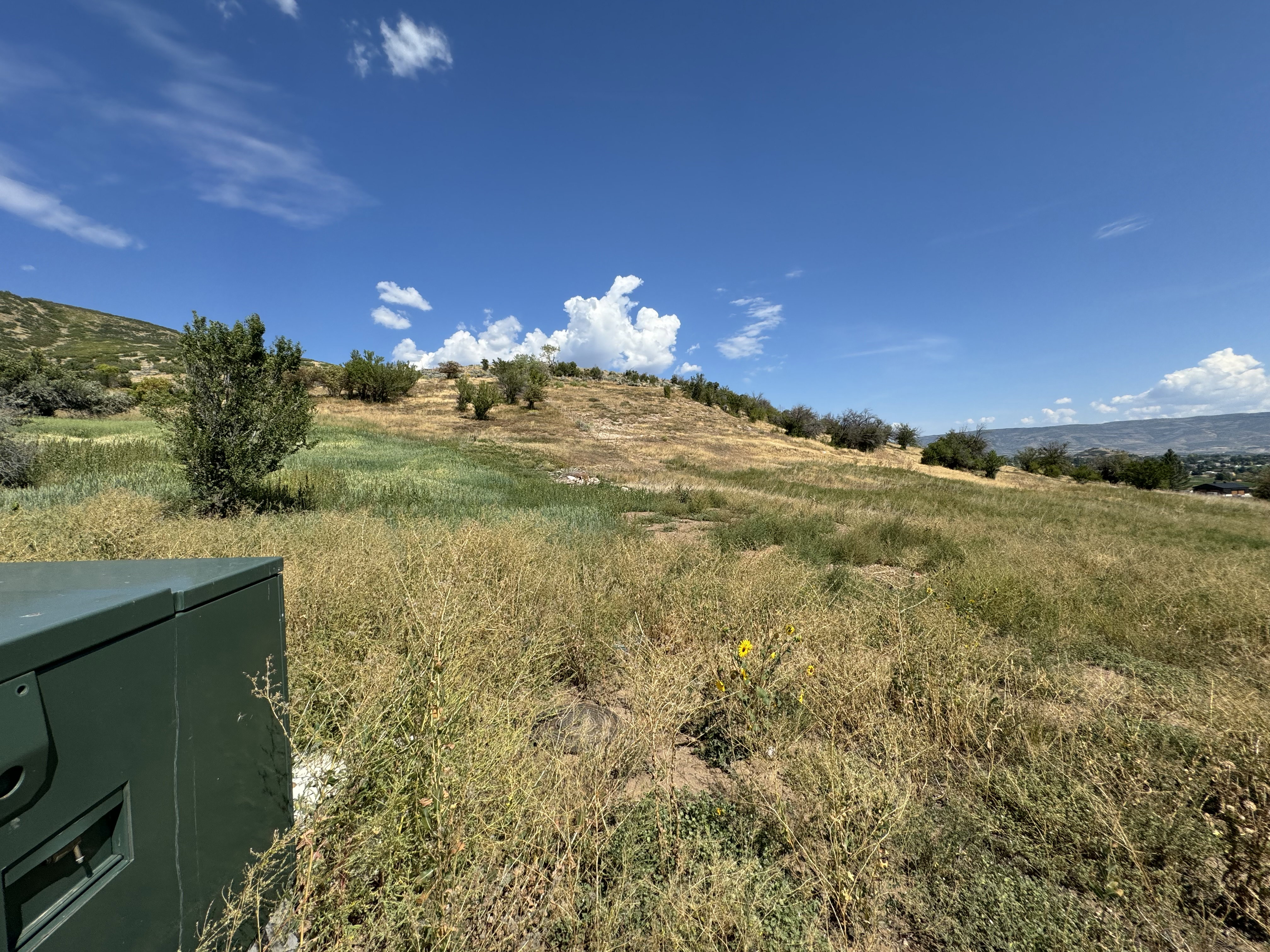 View of yard featuring a rural view