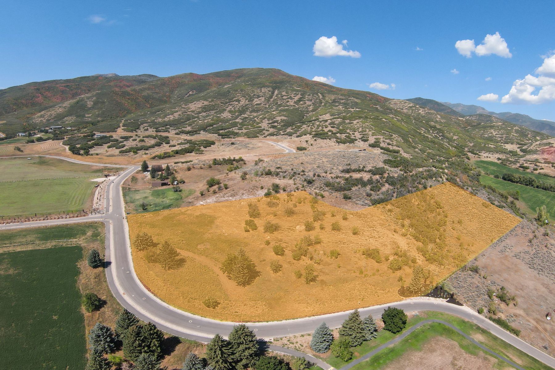 Expansive land parcel featuring natural vegetation and partial road frontage