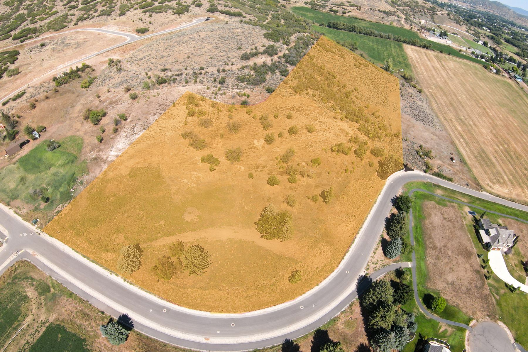 Expansive undeveloped lot featuring a curved street frontage, natural vegetation, and a sloped terrain