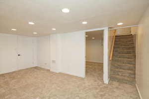 Basement Family Room