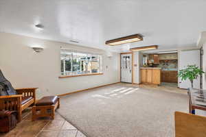 Basement Living area featuring carpet