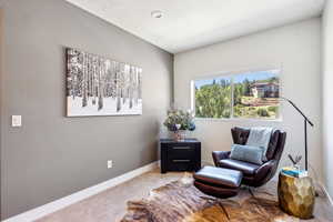 Sitting room with carpet