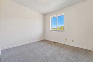 View of carpeted spare room