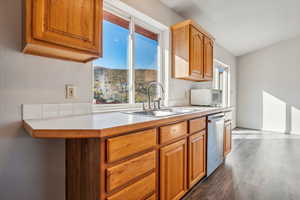 Kitchen featuring dishwasher, dark hardwood / wood-style floors, and sink