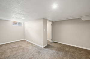 Basement featuring carpet and a textured ceiling