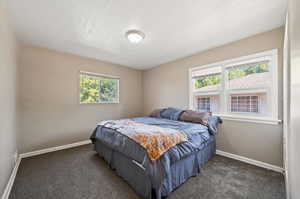 Bedroom featuring a textured ceiling, dark colored carpet, and multiple windows