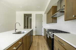 Kitchen with tasteful backsplash, light hardwood / wood-style flooring, sink, wall chimney exhaust hood, and appliances with stainless steel finishes. 2425 S.