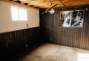 Basement featuring wooden walls and carpet