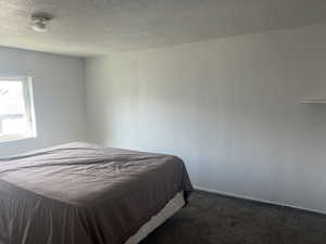 Carpeted bedroom with a textured ceiling