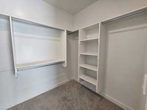 Spacious closet with dark carpet