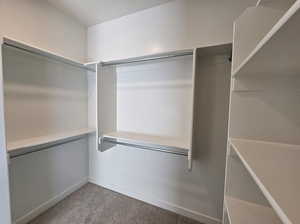 Walk in closet featuring carpet