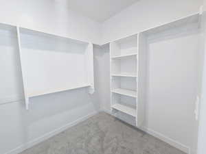 Walk in closet featuring carpet