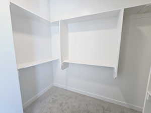 Spacious closet featuring light carpet