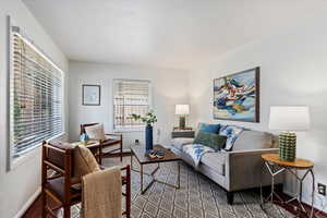 Living room featuring dark wood-type flooring