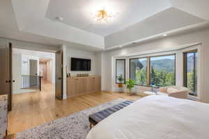 Bedroom with an inviting chandelier, a tray ceiling, and light hardwood / wood-style flooring